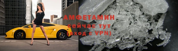 прущие грибы Инсар
