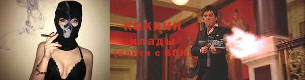 прущие грибы Инсар