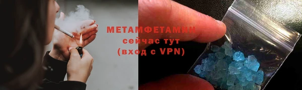 прущие грибы Инсар