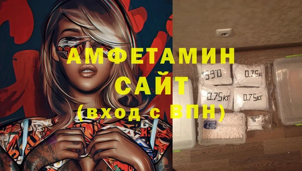 прущие грибы Инсар