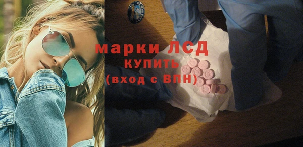 прущие грибы Инсар