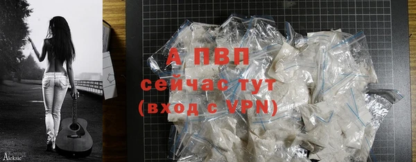 прущие грибы Инсар