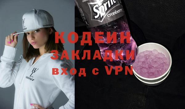 прущие грибы Инсар