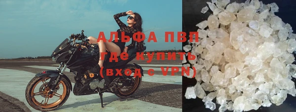 прущие грибы Инсар