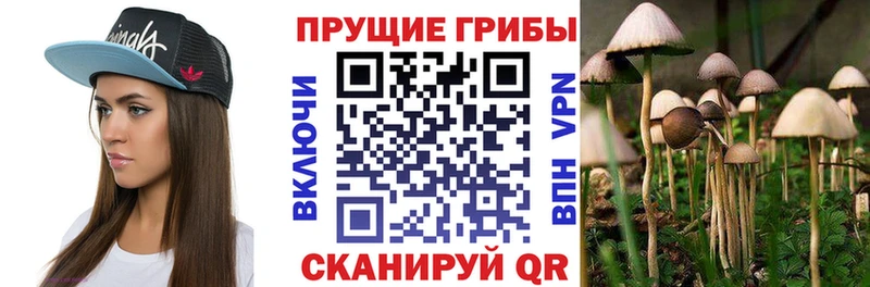 Купить где  Ижевск  Псилоцибиновые грибы ЛСД 